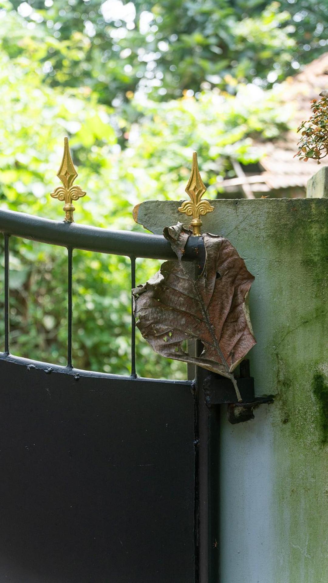 Soul Home Stay Varkala Exterior foto
